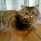 bv9