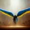 Dmitry S