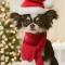 Арчи.