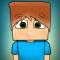 mr ninkin