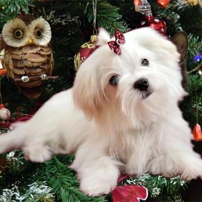.Кнопка