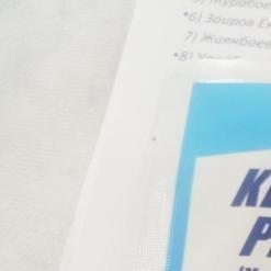 Fenfen Dowset