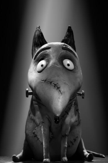 FrankenViny