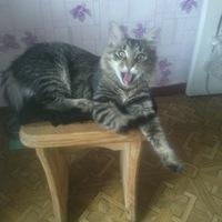 Александр Однороб