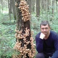 Илюха