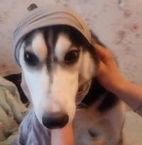 Катя Малая