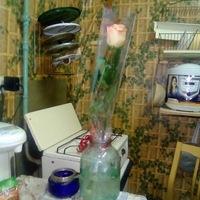 Сеня Шошин