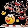 Rauf Insp