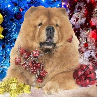 Федька.