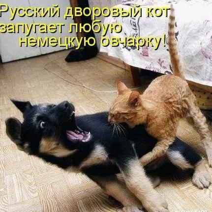 10100Alex_V1