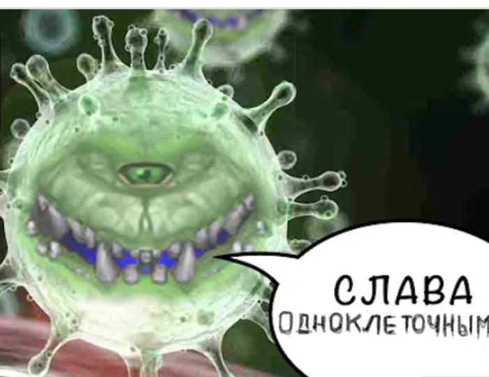 CORONAVIRUS