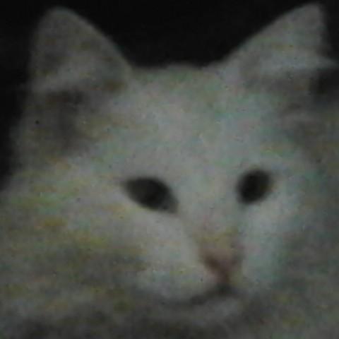 ALEX_OS 68