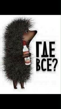Александр Дачников3