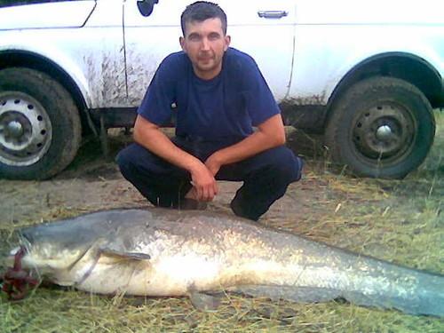 Дмитрий6