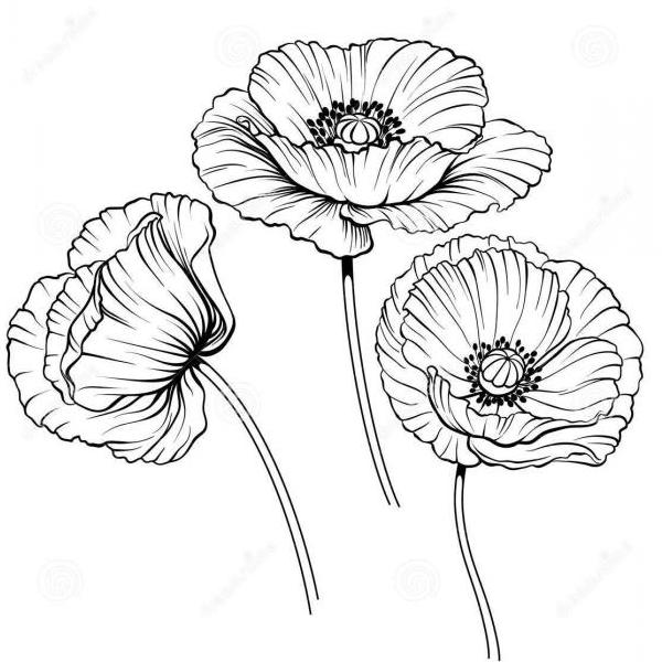 JulisBg